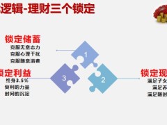 終身壽險與理財最優(yōu)邏輯鎖定利益16頁.pptx