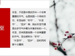 紅色中傳統(tǒng)二十四節(jié)氣冬至介紹PPT模板27頁.pptx