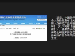 復(fù)利百分之三點(diǎn)五的增額終身壽險(xiǎn)面臨下架19頁(yè).pptx