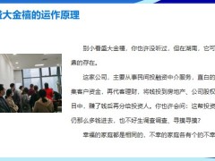 金融跑路看借助保險(xiǎn)理財(cái)鎖定長期收益19頁.pptx