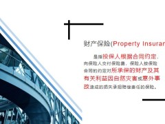 家庭財產(chǎn)保險機動車輛保險責(zé)任保險解析28頁.pptx