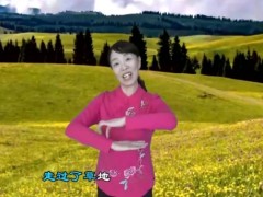 視頻晨操手語舞泉水叮咚響.zip