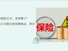 保險保障基金概念哪些保單能得到救助能救助多少會沒錢嗎24頁.pptx