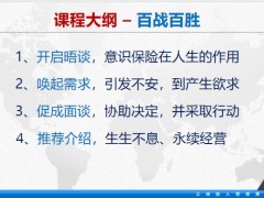 NBS促成邏輯開(kāi)啟晤談喚起需求促成面談推薦介紹134頁(yè).pptx