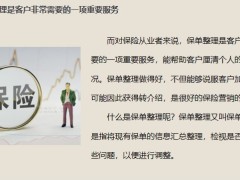 新人為什么要做保單整理話術金句19頁.pptx