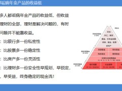 保險(xiǎn)理財(cái)年收益率低仍要購(gòu)買年金險(xiǎn)的理由17頁(yè).pptx