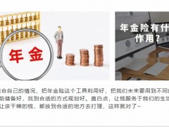 2023年金險(xiǎn)幫助我們更好地做好資產(chǎn)配置22頁(yè).pptx