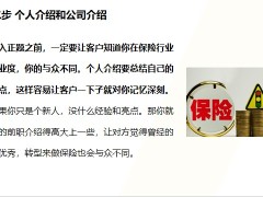 2023保險新人保險銷售的面談全銷售23頁.pptx