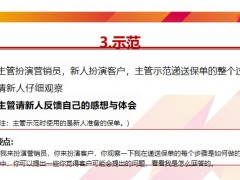 主管三陪九輔系列課程9遞送保單索取轉(zhuǎn)介紹主管操作要點21頁.pptx