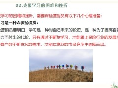 保險新人克服分析解決應對學習的困難和挫折24頁.pptx