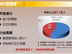 保險新人培訓低線農(nóng)民普通成長期客群經(jīng)營案例蓄客促客25頁.pptx