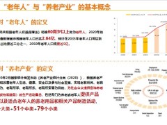 保險新人培訓市場分析客群調(diào)查養(yǎng)老痛點需求分析24頁.pptx