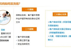 反洗錢基礎概念保險業(yè)金融機構(gòu)可疑交易類型和識別要點20頁.pptx