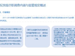 反洗钱尽职调查内涵与监管规定概述重要性方法工作建议33页.pptx