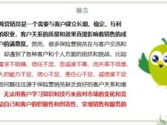 保險(xiǎn)營銷員的客戶之道如何獲取客戶關(guān)系和維護(hù)策略18頁.pptx