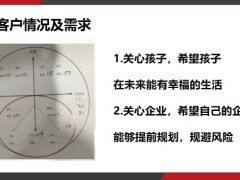 家庭財富規(guī)劃報告設(shè)計思路企業(yè)及家庭篇15頁.pptx