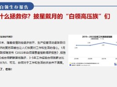 白領(lǐng)生存報告動搖點分析家庭主婦的現(xiàn)狀動搖點21頁.pptx