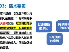 養(yǎng)老年金銷售邏輯說明示范演練點評和通關(guān)含備注23頁.pptx