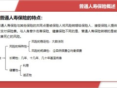 普通人壽保險概述險種死亡保險生存保險兩全保險年金保險解析29頁.pptx