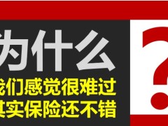 保險團(tuán)隊發(fā)展從風(fēng)險管理者到資產(chǎn)管理者轉(zhuǎn)型63頁.pptx