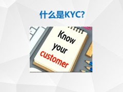 保險新人銜接培訓(xùn)8高客KYC收集內(nèi)容技巧分析整理含備注56頁.pptx