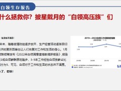 白領(lǐng)生存報告動搖點分析家庭主婦的現(xiàn)狀動搖點21頁.pptx