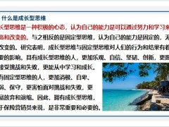 保險(xiǎn)新人營銷員如何擁有成長型思維17頁.pptx