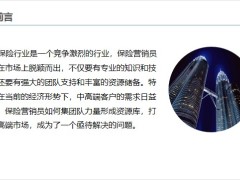 保險營銷員如何集團隊力量形成資源庫打開中高端市場18頁.pptx