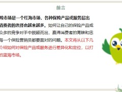 保險營銷員明確目標(biāo)市場和目標(biāo)客戶打造自己的藍海20頁.pptx