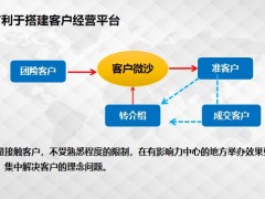 保險(xiǎn)新人訓(xùn)練專題7如何設(shè)計(jì)好客戶微沙31頁.pptx