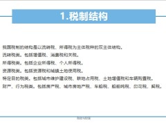 税务合规税制概览金税工程双高避险29页.pptx