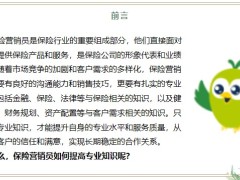 保險營銷員如何提高專業(yè)知識從基礎到深入學習20頁.pptx