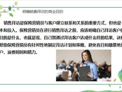 明確銷售拜訪的商業(yè)目的應對客戶的異議和問題建立客戶的信任和滿意25頁.pptx