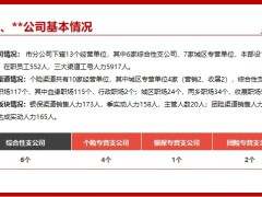 支公司機構(gòu)分享多元發(fā)展情況匯報團險銀保經(jīng)營情況28頁.pptx